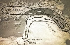 文明起源中的环两河流域山侧地带