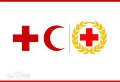 红十字会的创始人杜南