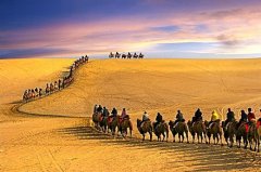 骆驼在伊斯兰教早期扩张作用重大