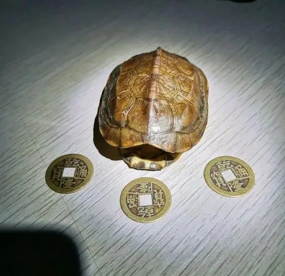 两个朝廷大夫去算命，反被摆摊的占卜师怼到怀疑人生